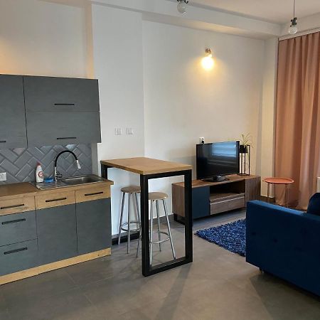 Apartamenty Pod Wierzbami Dwikozy Екстериор снимка