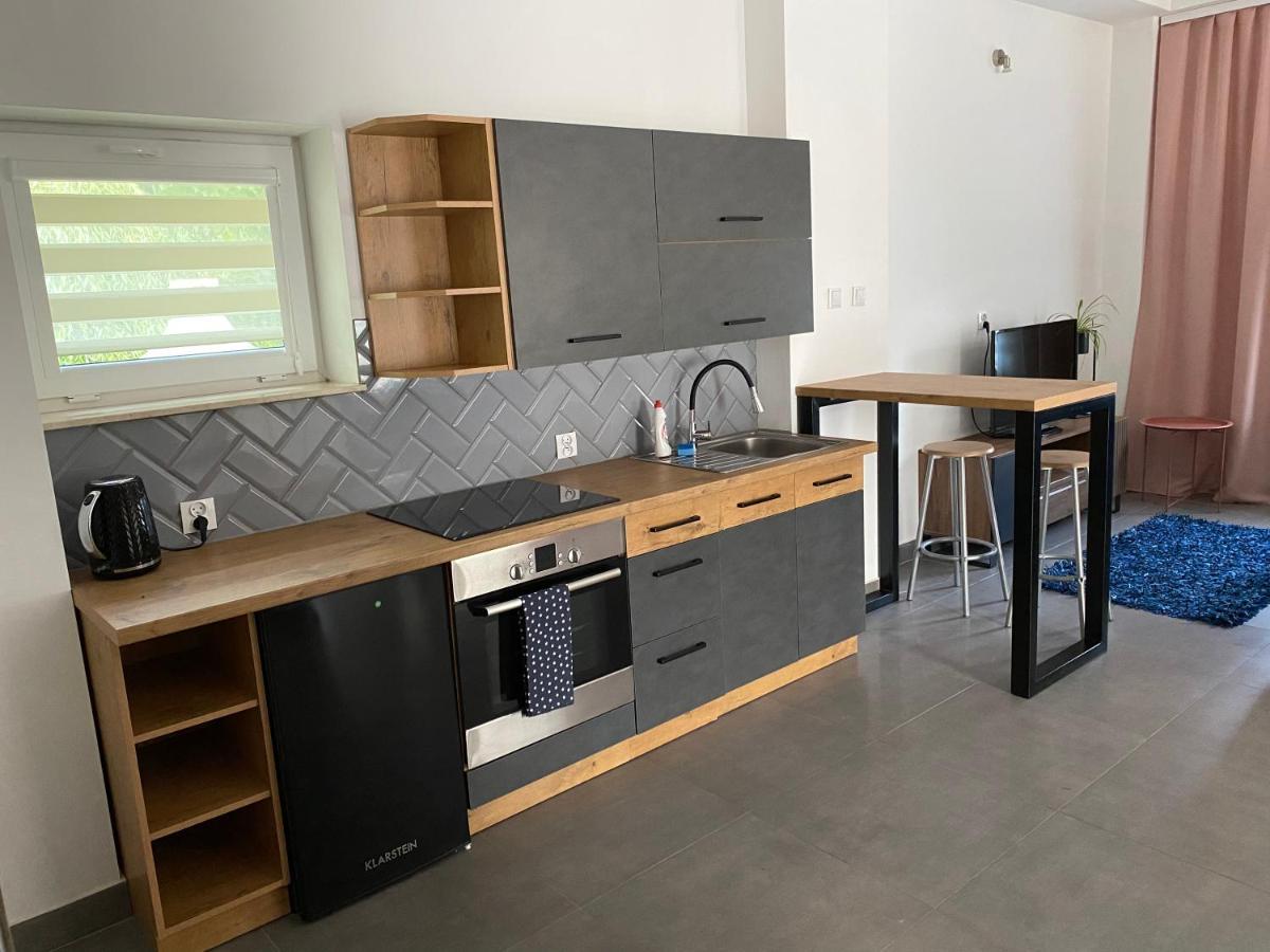 Apartamenty Pod Wierzbami Dwikozy Екстериор снимка