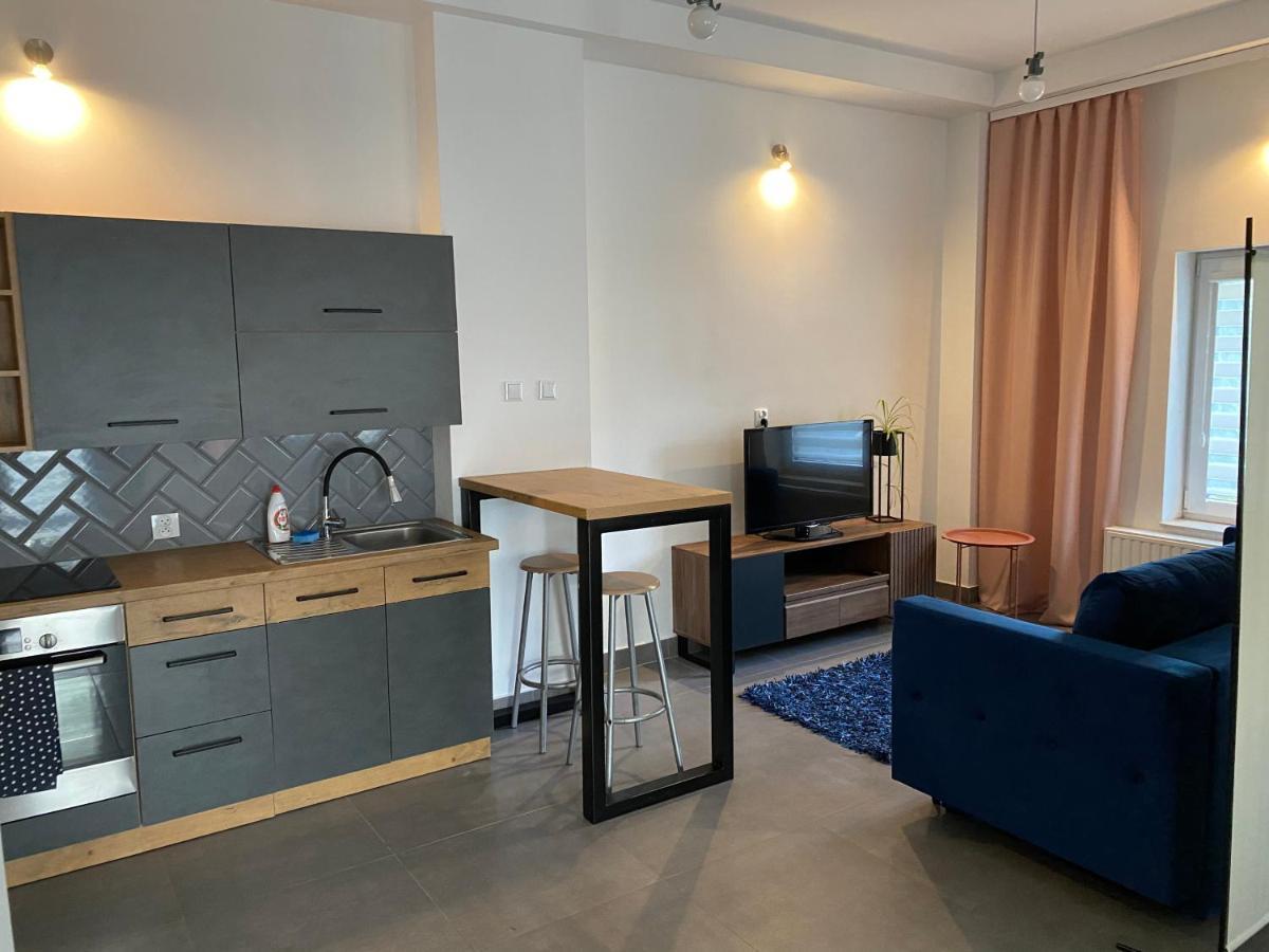Apartamenty Pod Wierzbami Dwikozy Екстериор снимка